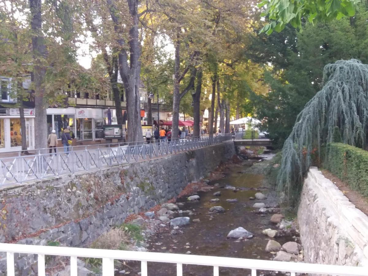Ferienwohnung Malia In Waldnaehe Mit Schoenem Balkonausblick Бад Харцбург Екстериор снимка